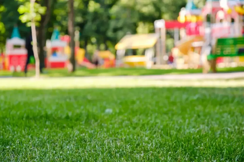 Synthetic Turf for School Playground