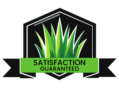 Satisfaction Guaranteed